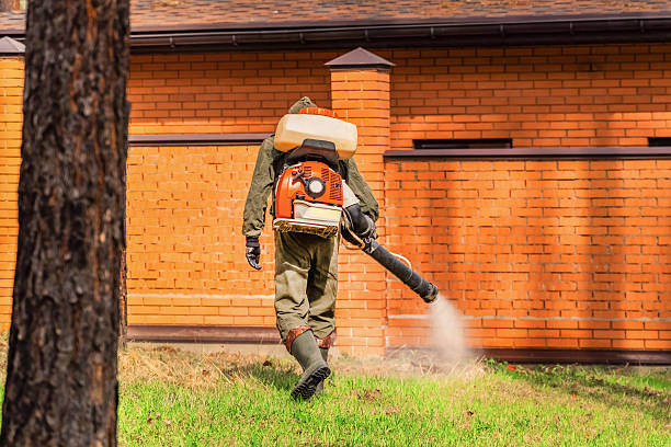 Trusted Ant Control service in Bell Acres, PA - Nex Pest Control
